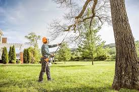 Best Tree and Shrub Care  in Dublin, VA