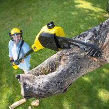 Best Commercial Tree Services  in Dublin, VA