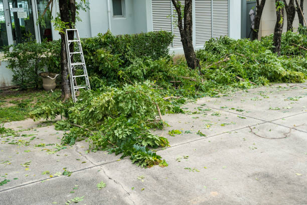 Best Leaf Removal  in Dublin, VA