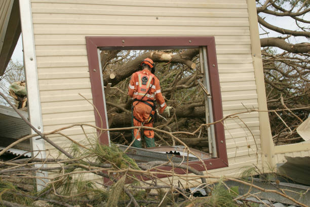 Best Tree Risk Assessment  in Dublin, VA